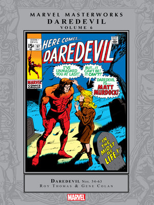 cover image of Daredevil Masterworks, Volume 6